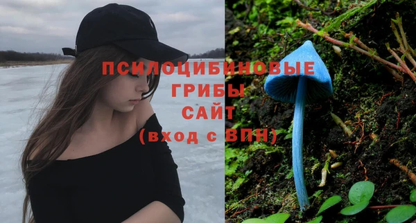 прущие крисы Володарск