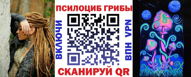 Галлюциногенные грибы Cubensis  купить  сайты  Зуевка 